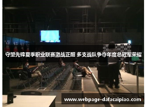 守望先锋夏季职业联赛激战正酣 多支战队争夺年度总冠军荣耀