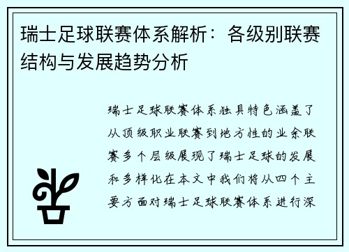 瑞士足球联赛体系解析：各级别联赛结构与发展趋势分析